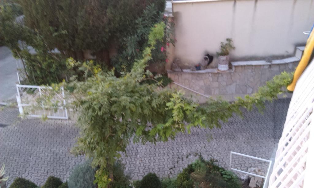 Apartments Pavelic Crikvenica Ruang foto